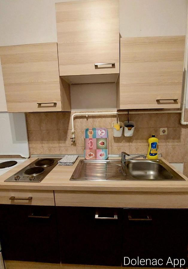 萨格勒布Studio Apartman Dolenac公寓 外观 照片